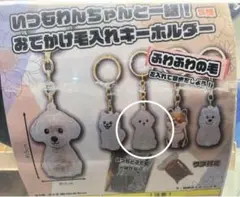 いつもわんちゃんと一緒！おでかけ毛入れキーホルダー