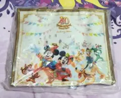 TDR40周年 スペシャルルーム バッグ 赤 ②