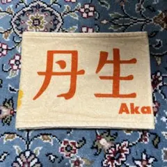 2026年最新】丹生明里 タオルの人気アイテム - メルカリ