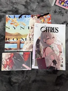 コミケc106 遠坂あさぎ AliceSyndrome スリーブ　プレマ　ホタル コミケc106 遠坂あさぎ AliceSyndrome スリーブ プレマ ホタル コミケ