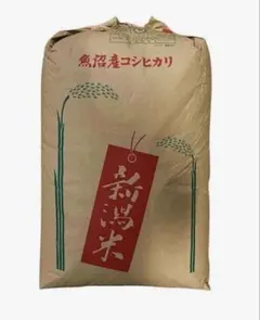 7年産滋賀県産白米(無洗米)キヌヒカリ 27kg - メルカリ