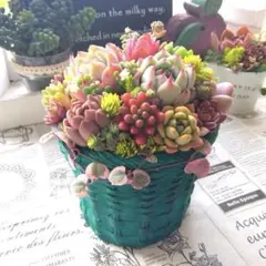 ちゅん様専用＊º*.:多肉植物寄せ植え＊~♬