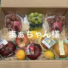林恵子　北信州の美味しいフルーツの詰め合わせセット 林恵子様専用「今とっておきの美味しい旬のフルーツ詰め合わせセット