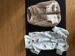 Item thumbnail for item bddddf19-ab20-4978-af8f-12914f6c656e