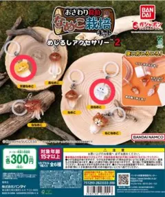 なめこ栽培キット　めじるしアクセサリー2　天使なめこ　白なめこ