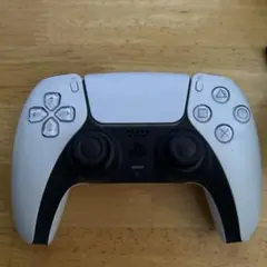 PS5 コントローラー ジャンク