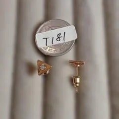T181-5 ステンレスピアス レディース メンズ アクセサリー 無言OKのサムネイル
