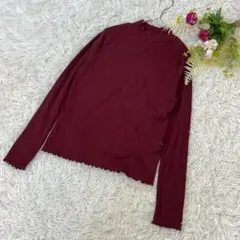 〝ウィゴースタンダード〟リブ長袖メロートップス　薄手　ハイネック　ボルドー　F