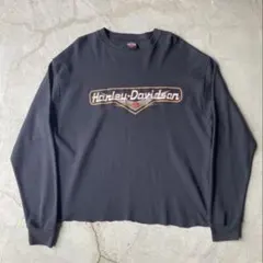 US企画 カーハート ダック ペインターパンツ 革タグ MOS W31L32 - メルカリ