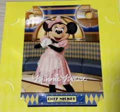 ディズニー　シェフミッキー　台紙　フォトファン　ミニー　写真