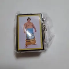 Item thumbnail for item ded89a93-ab2b-443e-8638-ad618d55c51c