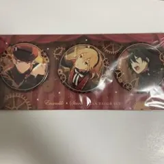 valkyrie割れ物&缶バッジセット - メルカリ