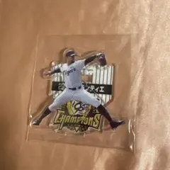 デュプランティエ　アクスタ