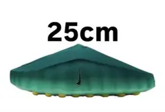 Item thumbnail for item ca5e8529-8abf-49da-840b-ed29cf841e76