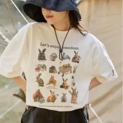 ⭐︎美品【DOD 別注】ファミティー　Mのサムネイル