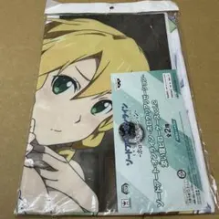 ソードアートオンライン SAO 添い寝リズベットセット - メルカリ