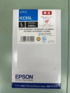 EPSON ICC93Lのサムネイル