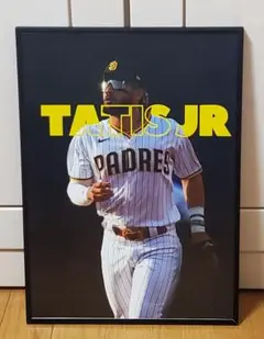 SDパドレス タティスJr MLB！A3サイズポスターフレーム付き