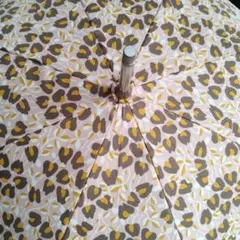 Item thumbnail for item 263c5b1e-53a5-47ce-af33-11c55f5f8bc4