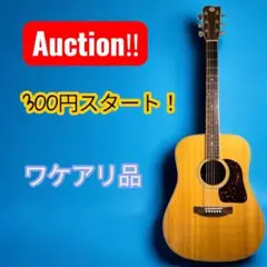 Elite TW25 トップ単板 アコースティックギター タカミネ 弦交換済 Elite TW25 トップ単板 アコースティックギター タカミネ 弦交換