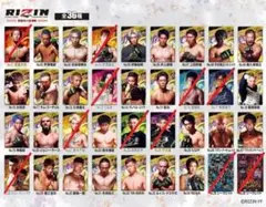 rizinウエハース