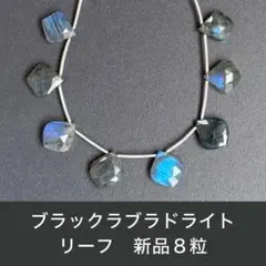 【新品】ブラックラブラドライト　リーフ　8粒
