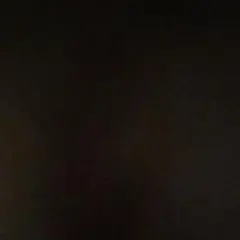 Item thumbnail for item 8b725c53-05d3-474e-b84f-6e6f850f3ab0