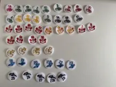 NSI 　ワッペン　45枚　進級　スイミングスクール