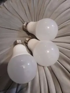 電球 蛍光灯・電球