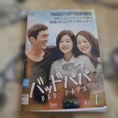 バッドパパ DVD 韓国ドラマ