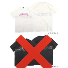 ステューシー Tシャツ 半袖 STUSSY Mサイズ　ビンテージ　ホワイト