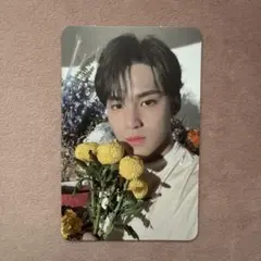 セブチ ミンギュ yourchoice トレカ