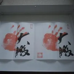 2026年最新】大鵬 手形の人気アイテム - メルカリ