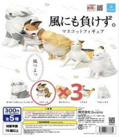 風にも負けず。 ブルドッグ 3体セット