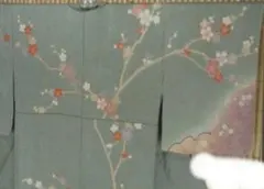 訪問着フルセット5点サイズS〜M 手描き 花鳥文 暈し染め 金彩 正絹
