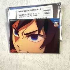 鬼滅の刃 冨岡義勇 全方位缶バッジ 鬼滅 義勇 缶バッジ　T