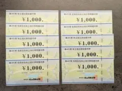 ビッグカメラ 10000円分　株主優待券