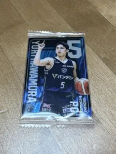 Item thumbnail for item f1b51e79-cc4b-4337-93b2-ae7a2c2ec452