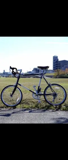 RALEIGH rsc rswカールトン ミニベロのサムネイル