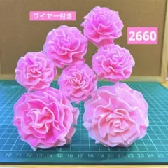 ソラフラワー　2660