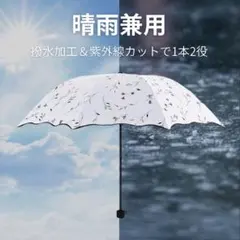 Item thumbnail for item df13f22e-7a49-4095-aecc-a289851afa4a