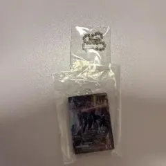 ガンダムカード　アクリルチャームコレクション　Ζガンダム