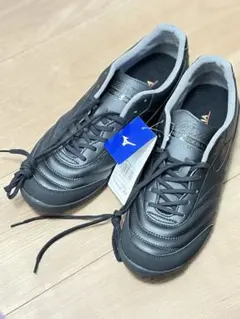 Item thumbnail for item 48decb43-d42e-4846-a1dc-4877226aa2d6