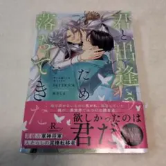 君と出逢うため落ちてきた