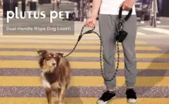 Item thumbnail for item 13f665e5-6124-436e-a934-1a4b696b9e1a