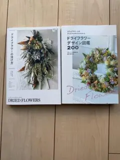 Item thumbnail for item a14aa412-d7a9-443d-84a2-0f0ea47ae28e