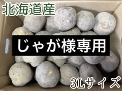 【じゃが様専用】北海道産じゃがいも（きたかむい）　3Lサイズ10kg
