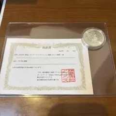 2026年最新】メイプル 銀貨の人気アイテム - メルカリ