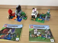 LEGO Minecraft セット 21172 21181