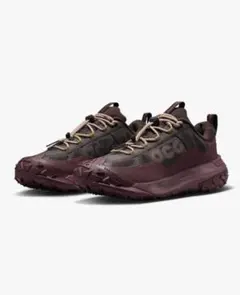 ACG MOUNTAIN FLY 2 LOW GORE-TEXのサムネイル